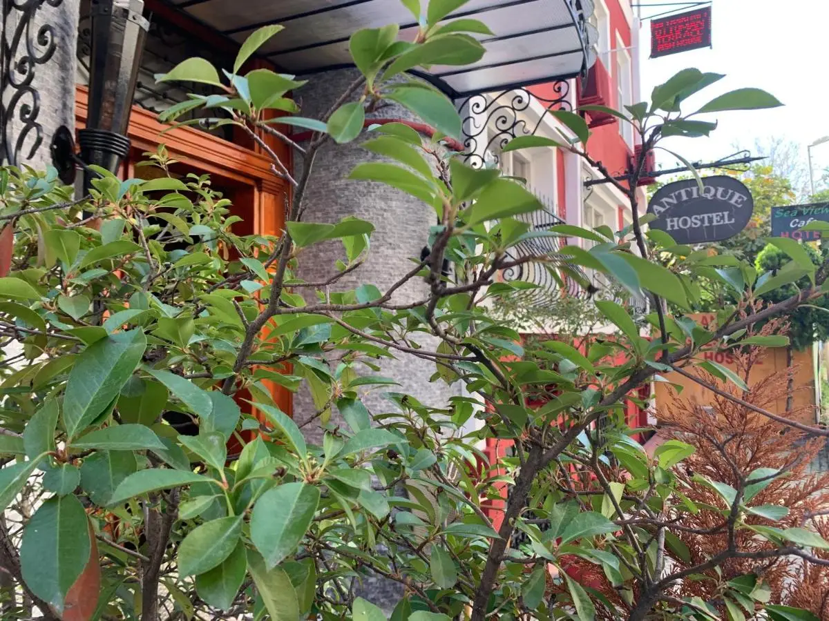 Antique Hostel