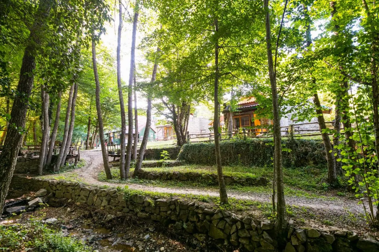 Hindiba Doga Evi