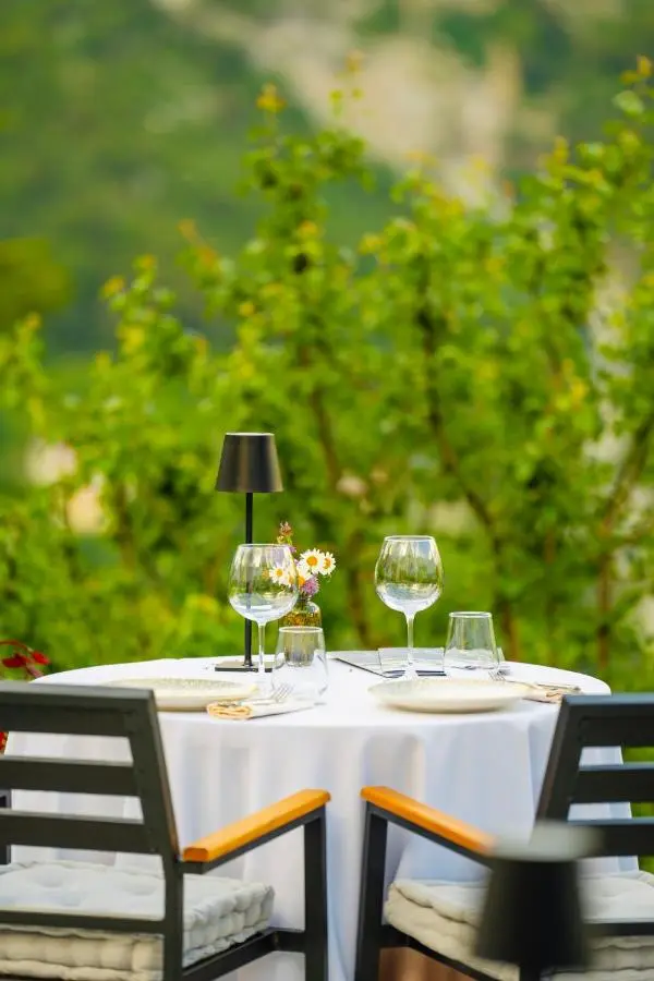 Vidis Chalet Boutique Hotel