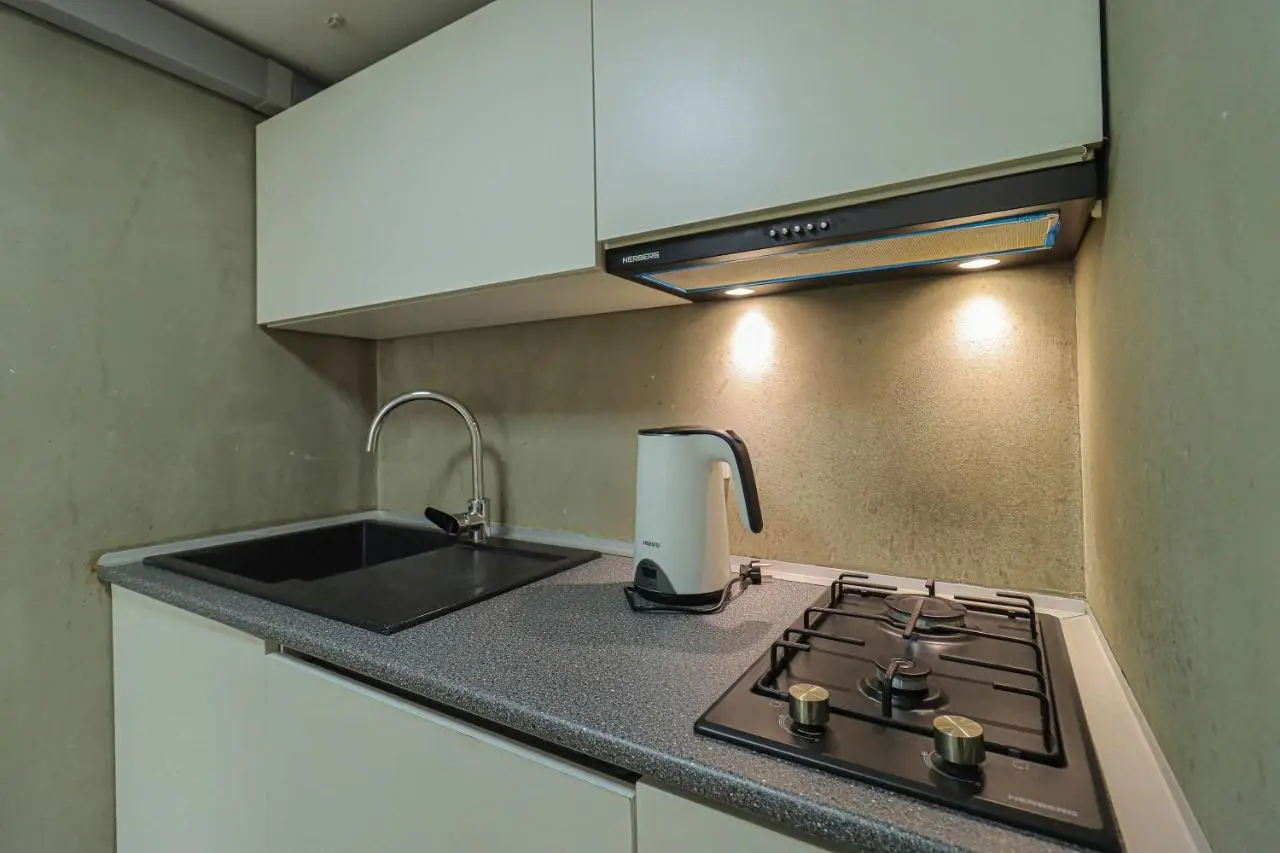 Stylish Apartment on Rustaveli Avenue