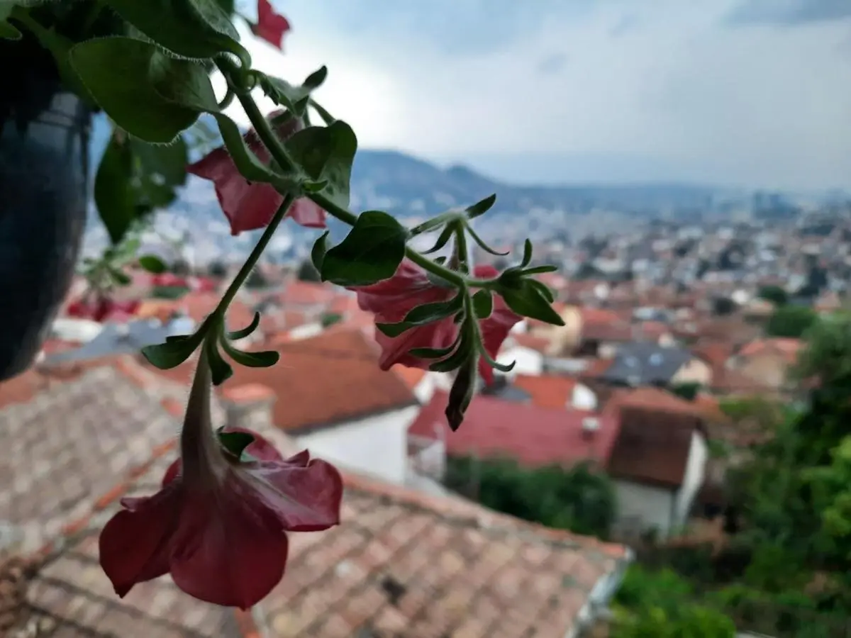 Best terrace view in the heart of Sarajevo