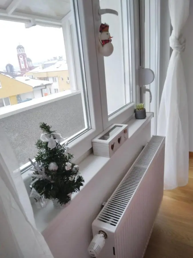 Studio apartman Promenada