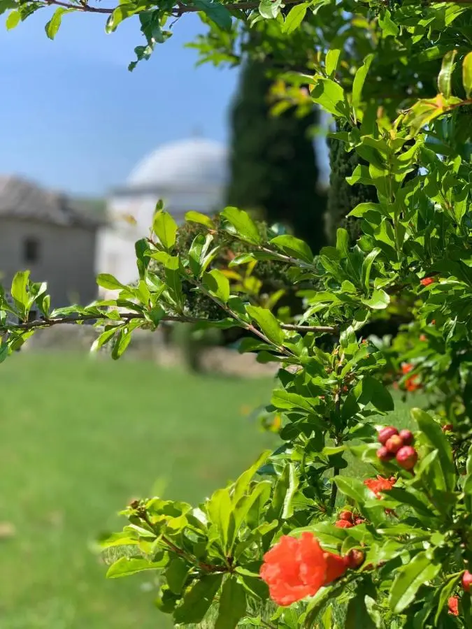 Villa Buna