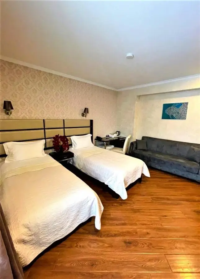 Hotel King David Bakuriani Mountain View