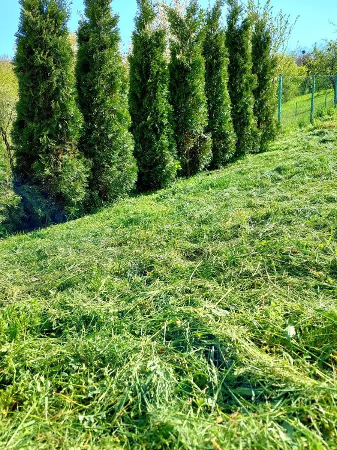 Sarajevo Flower Garden - Entire House & Private Garden