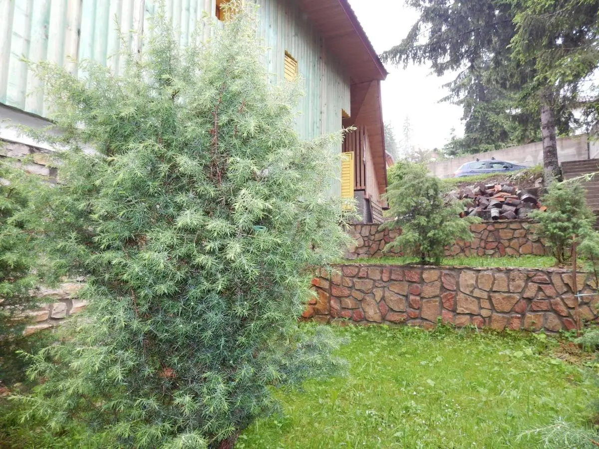 Smreka Vlašić