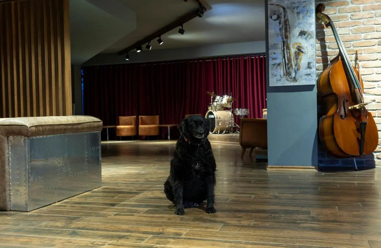 Jazz Hotel