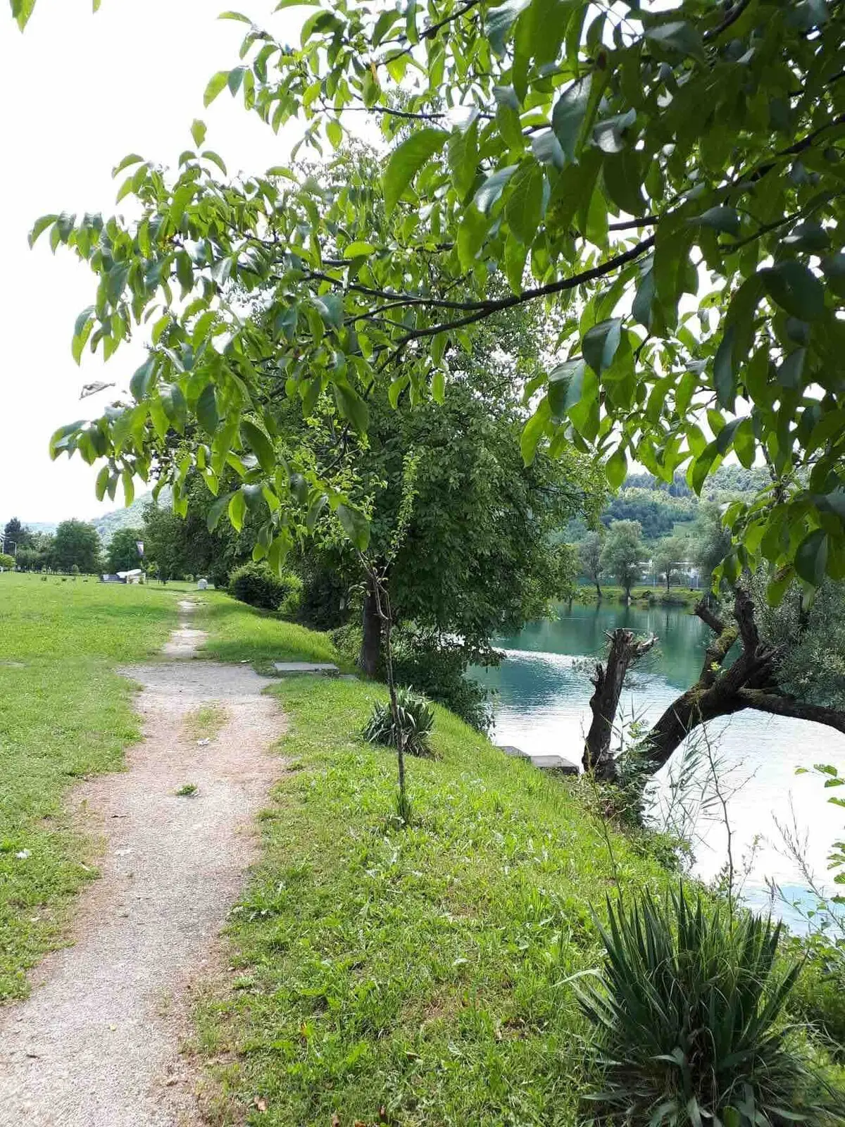 Vila Najla