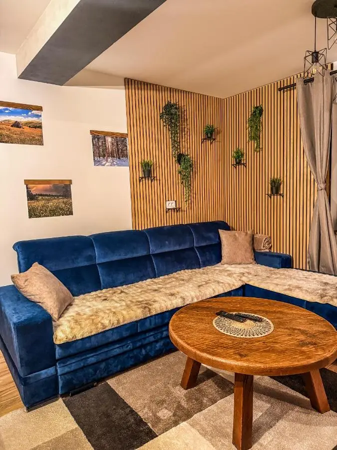 Vila Bašić Vlašić MEDO Spa Apartman Sauna & Jacuzzi