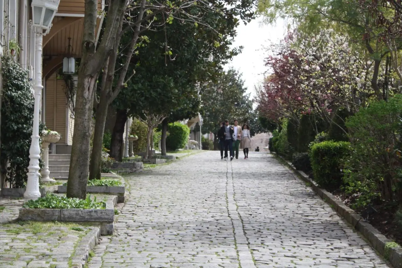 Coskun House