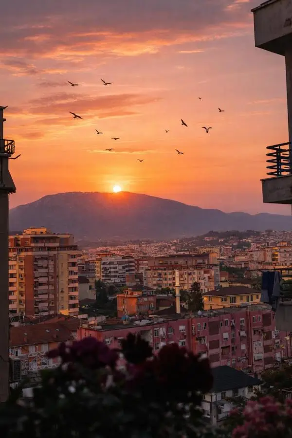 Urban Pazar Tirana