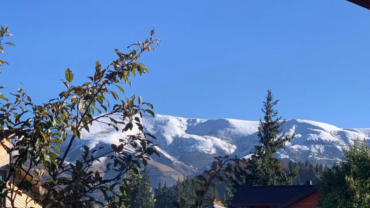 Chalet Bakuriani