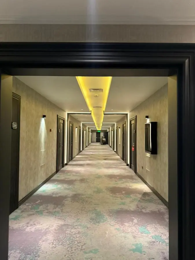 VIS Palm Hotel Ganja