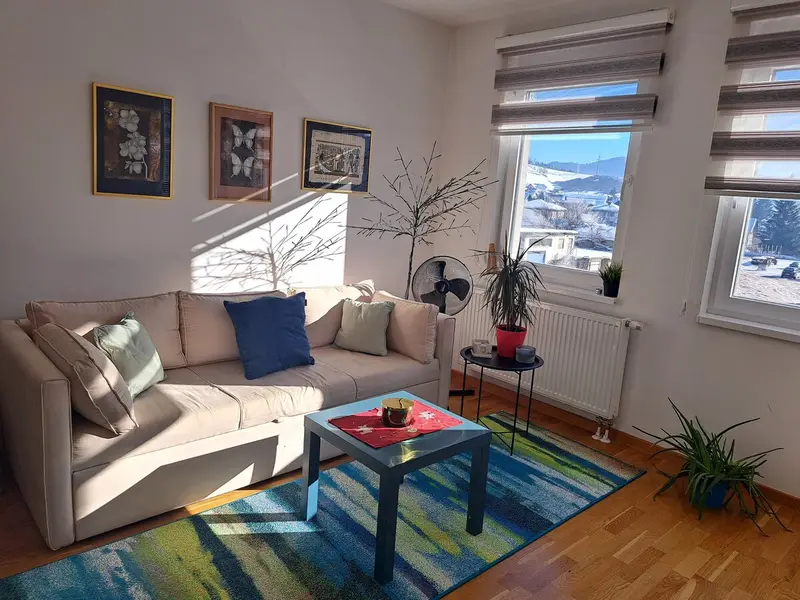 Lovely one bedroom condo in the pedestrian zone