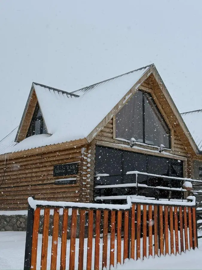 Wooden hut