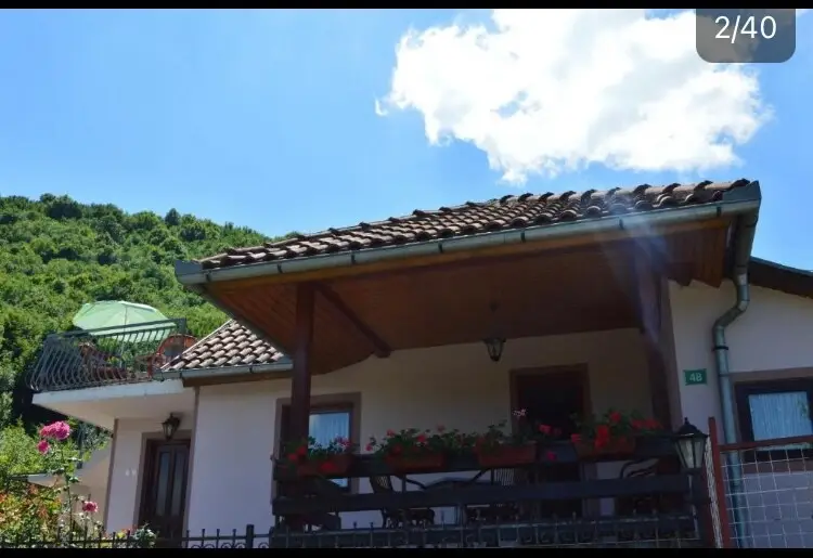 Resting House Oaza