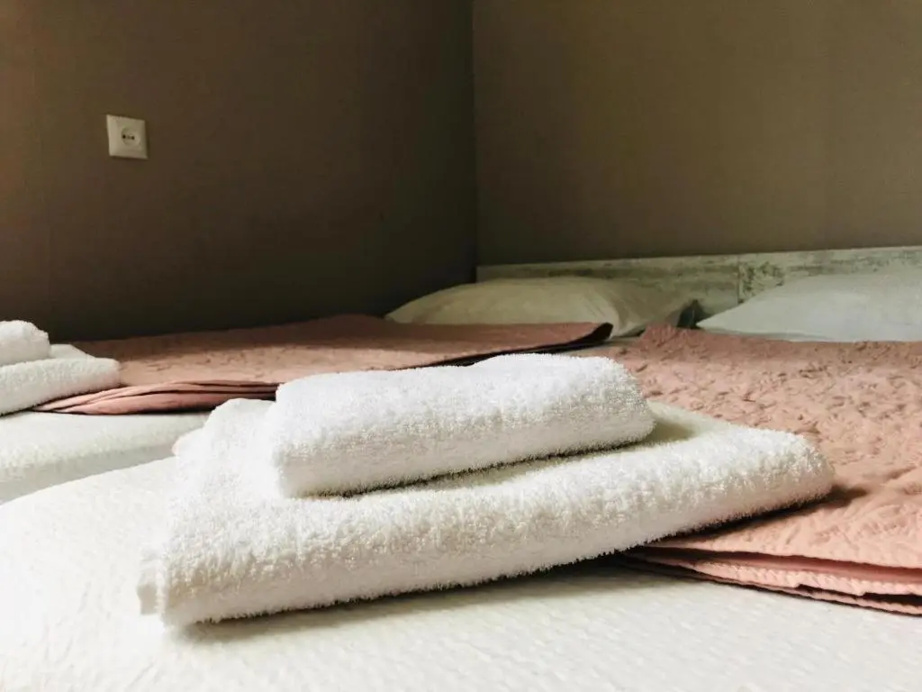 Guest House Check in Borjomi