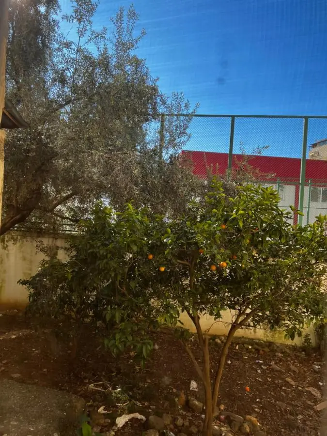 AmIon Apartment in Center of Tirana