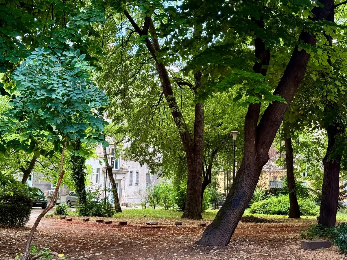 Cozy & Green – Sarajevo City Center