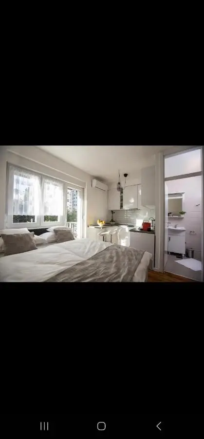 Big Tree Apartment & The Nest Apartment - free Parking