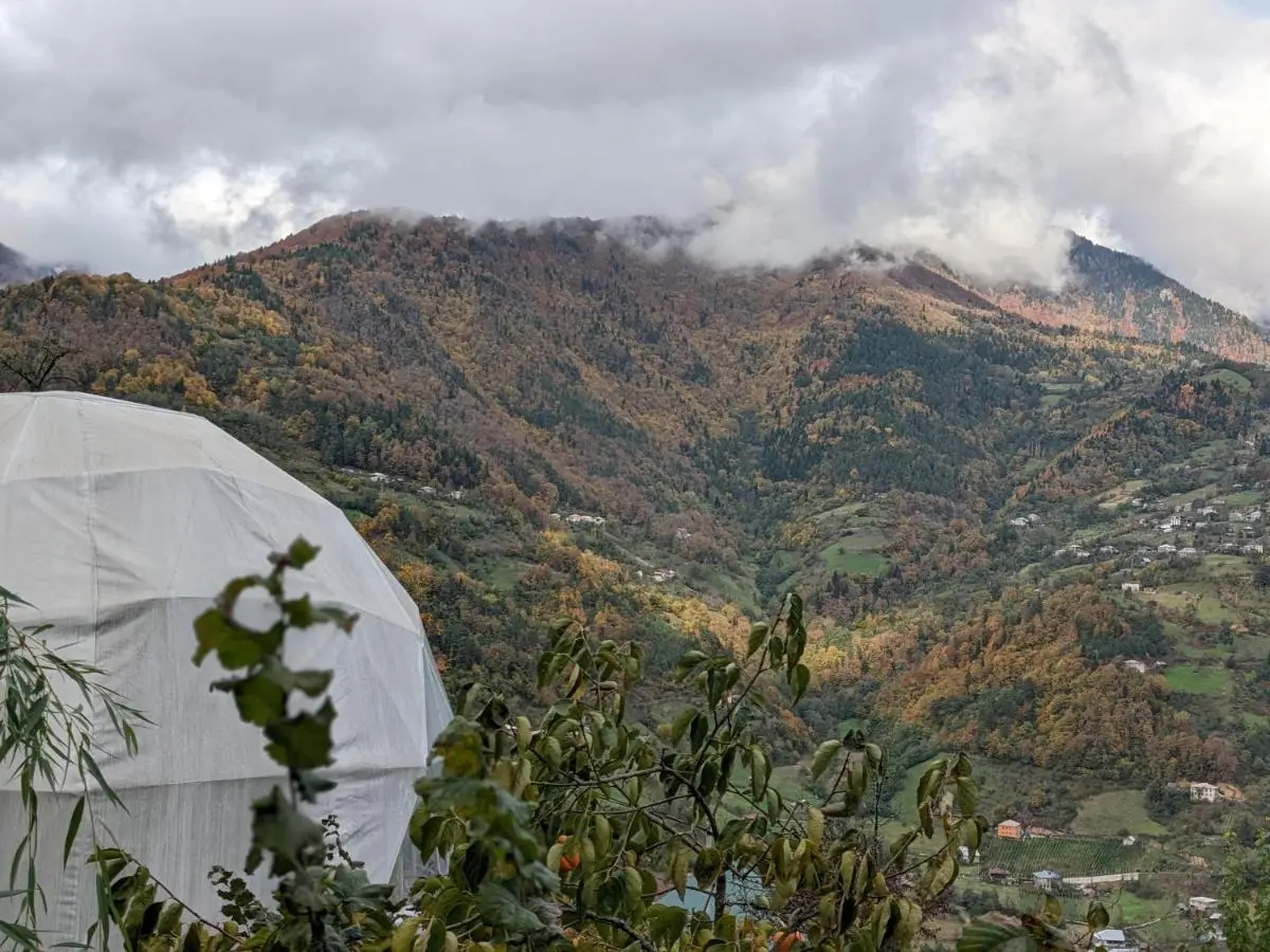 Ajara Glamping Kokotauri
