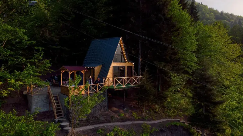 Forest House