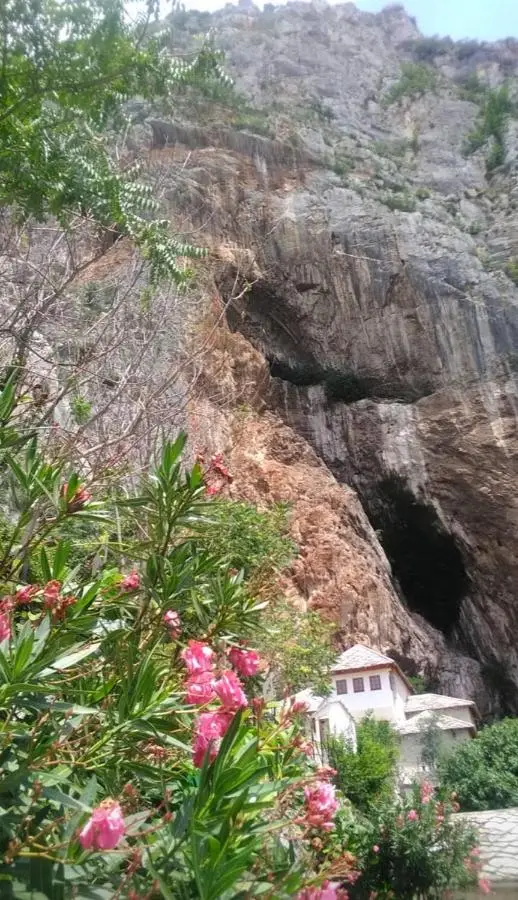 Apartments Pasha