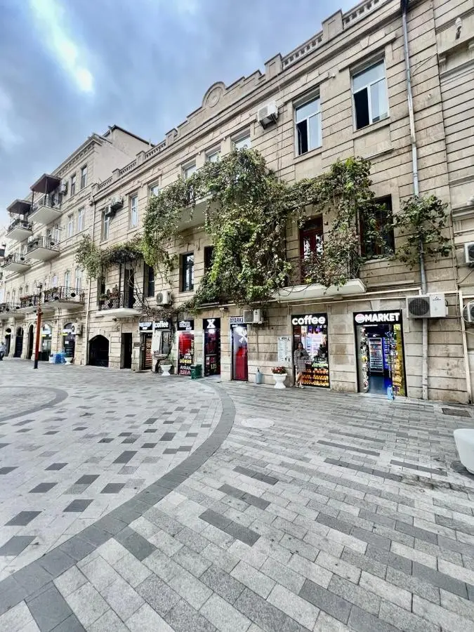 Luxury Apartment with Large Terrace & Park View on Nizami str