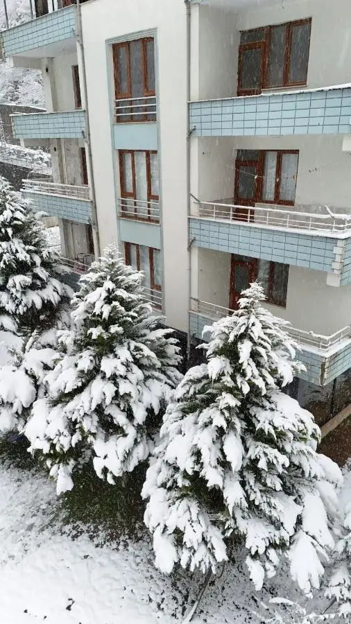 Yeşil ve huzur dolu bir daire