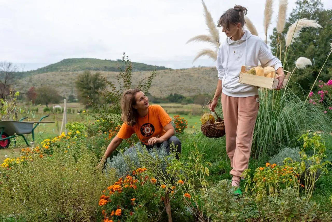 OZ - Obecana Zemlja Permaculture Homestead