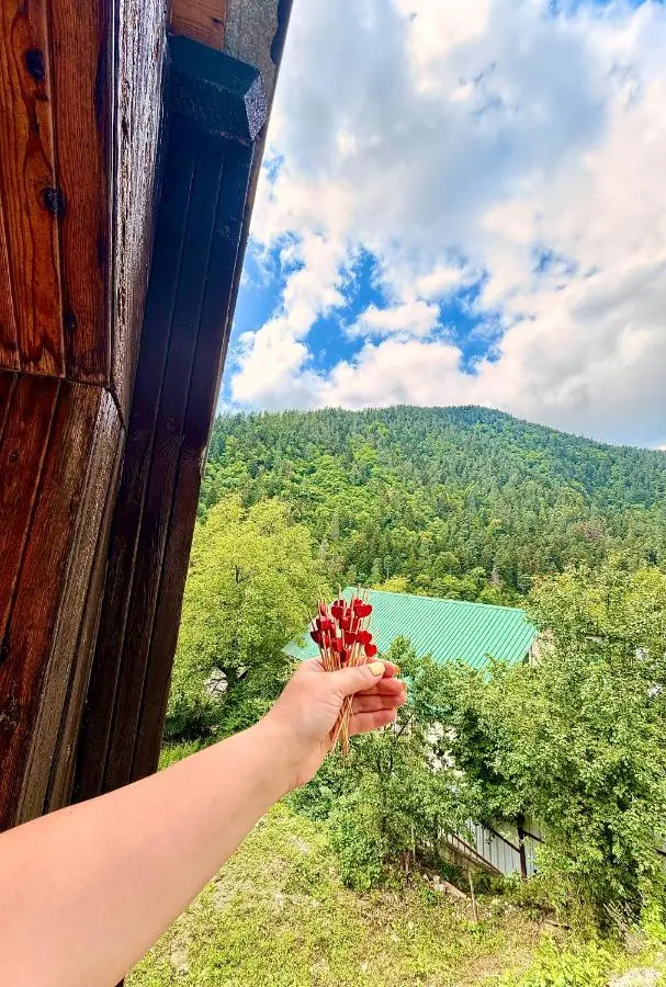 Likani house