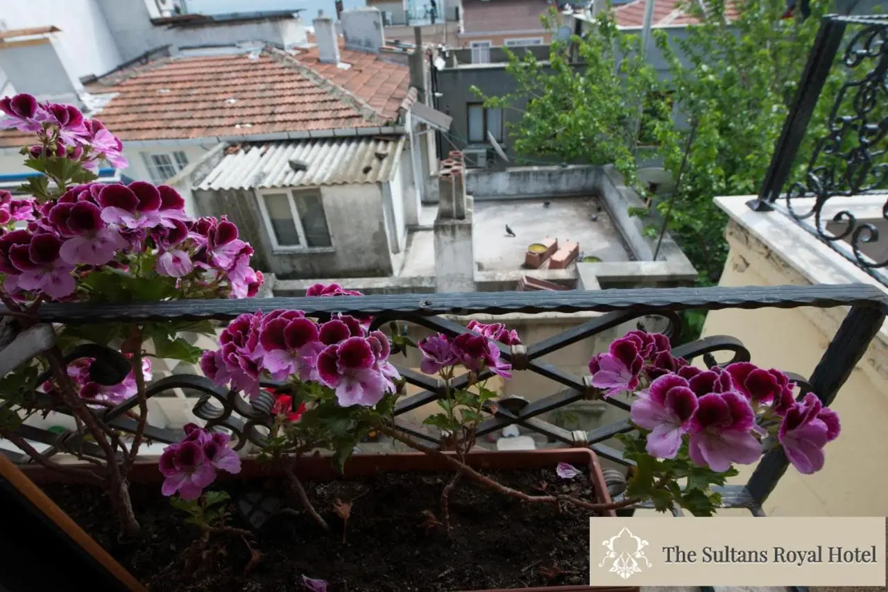 Sultans Royal Hotel