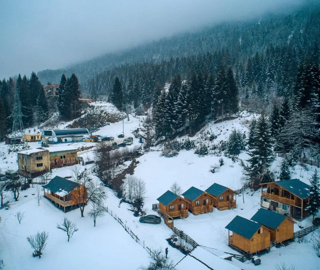 Mountain Cabins