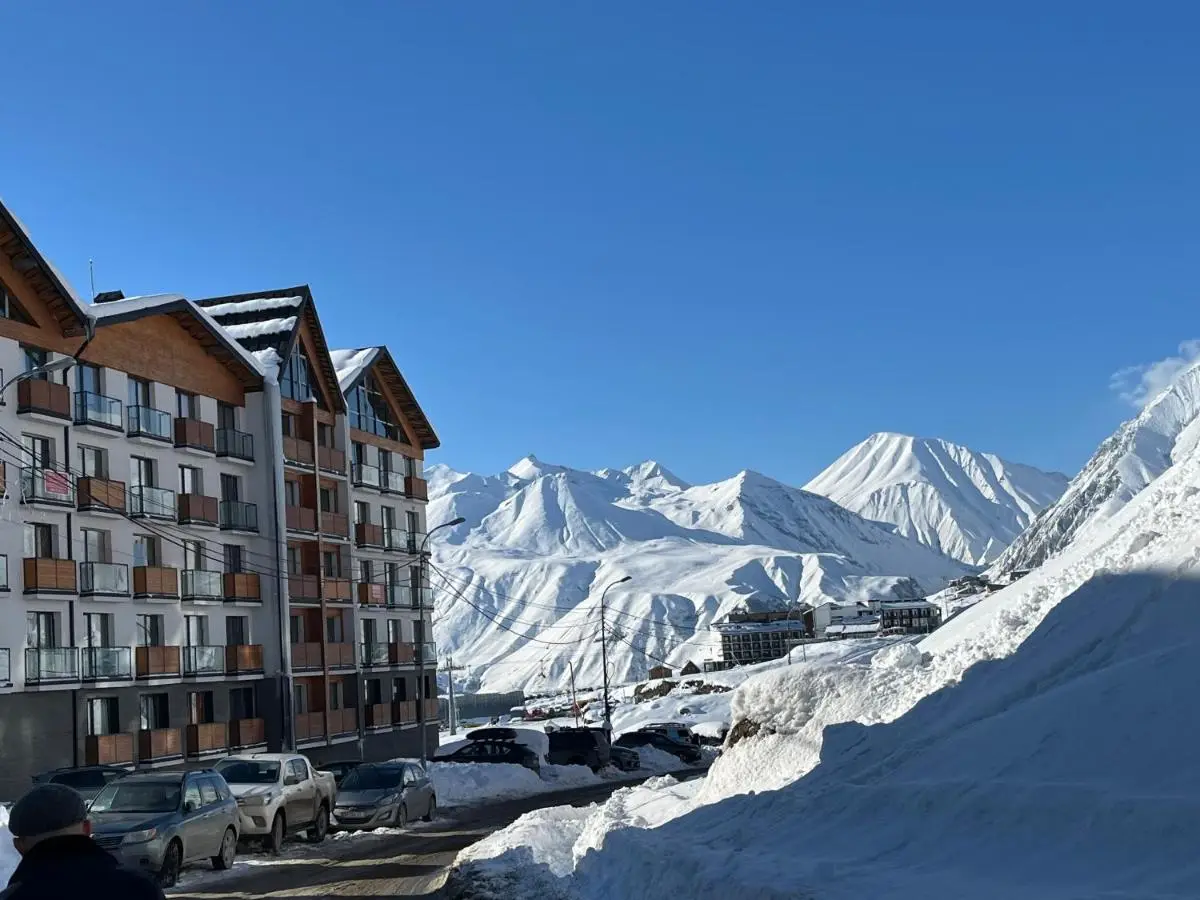 Twins apartment deluxe, new gudauri