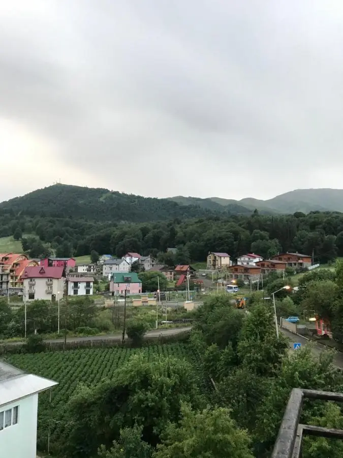 Hotel King David Bakuriani Mountain View