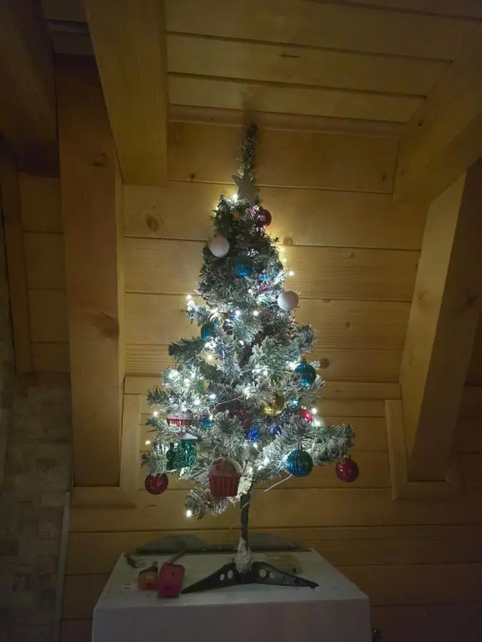 Vikendica Villa Marija Pale