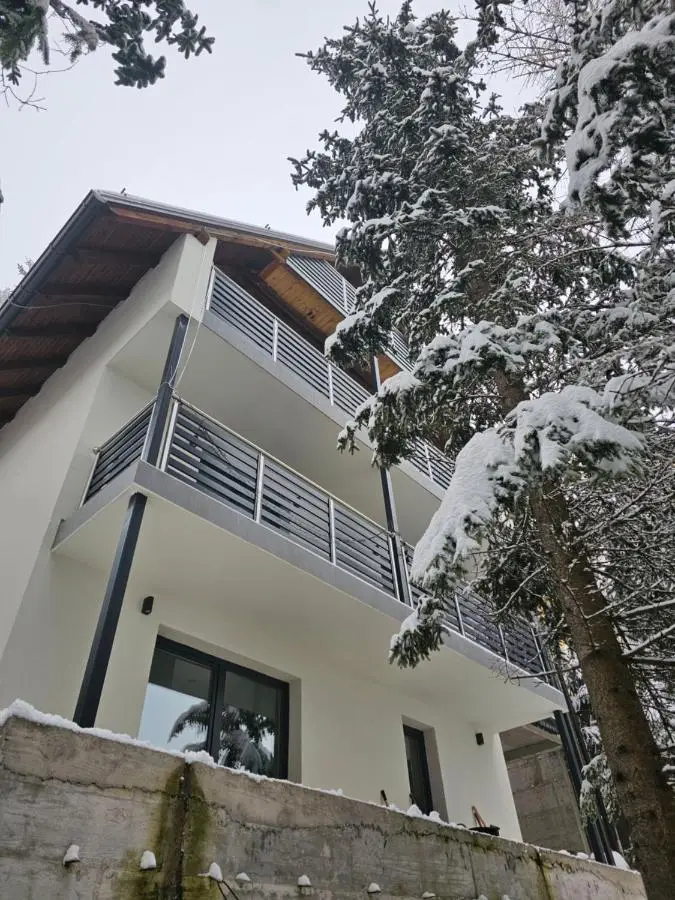 Vila Flora Vlašić