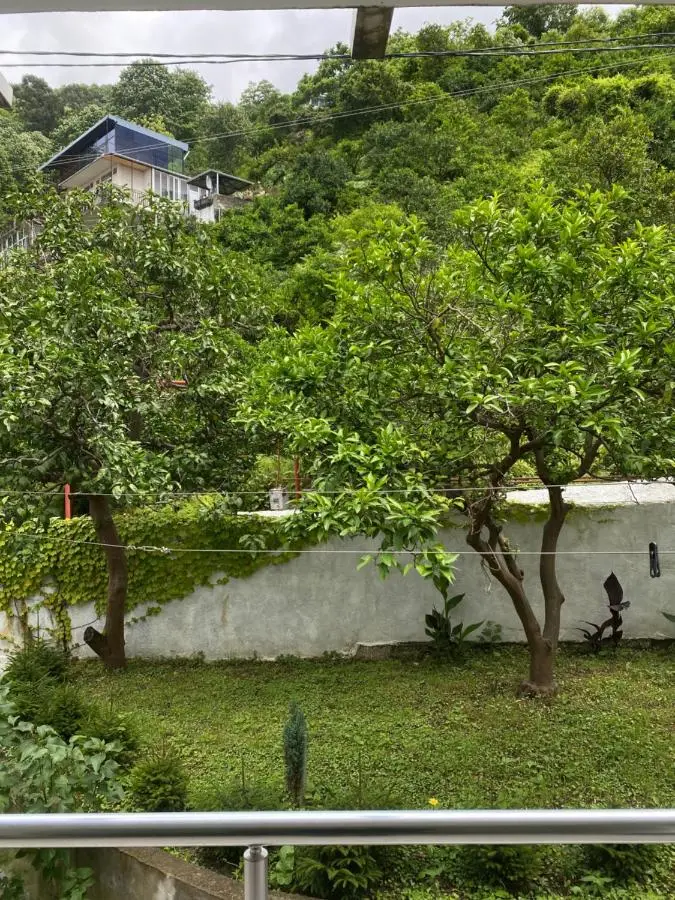Rezo's House
