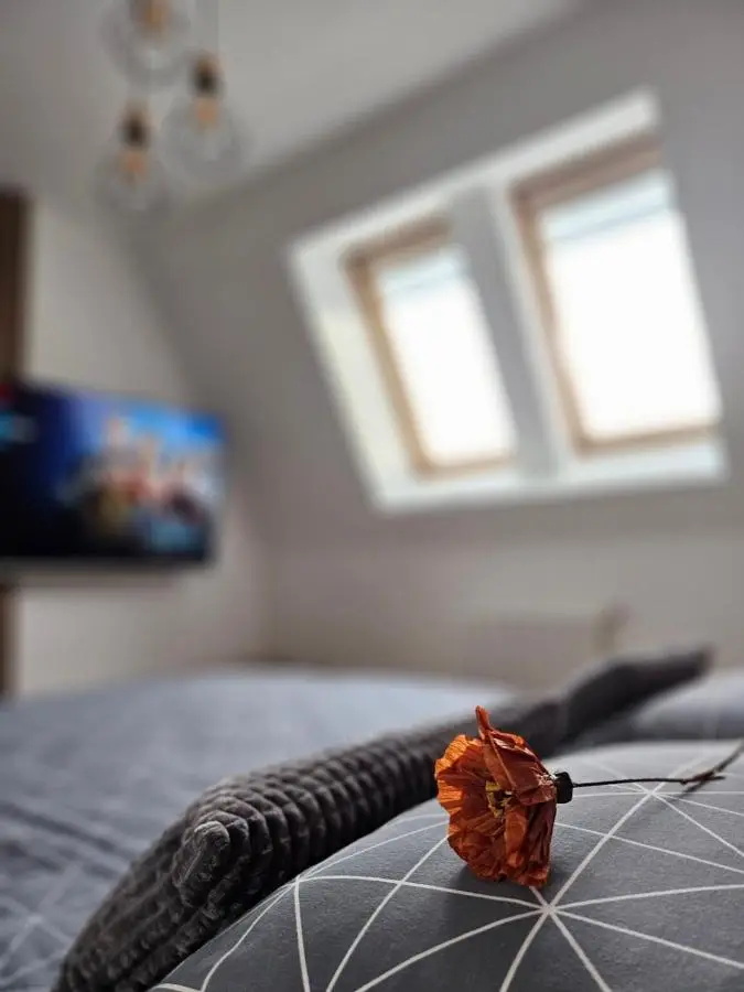 Apartman MAA