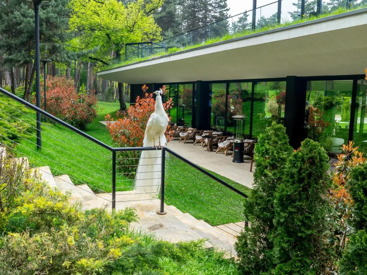 Bioli Wellness Resort