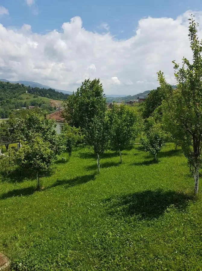 Villa Fruit Garden