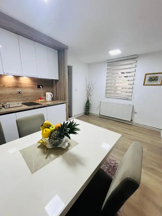 Apartment Irma free parking old town near Bascarsija