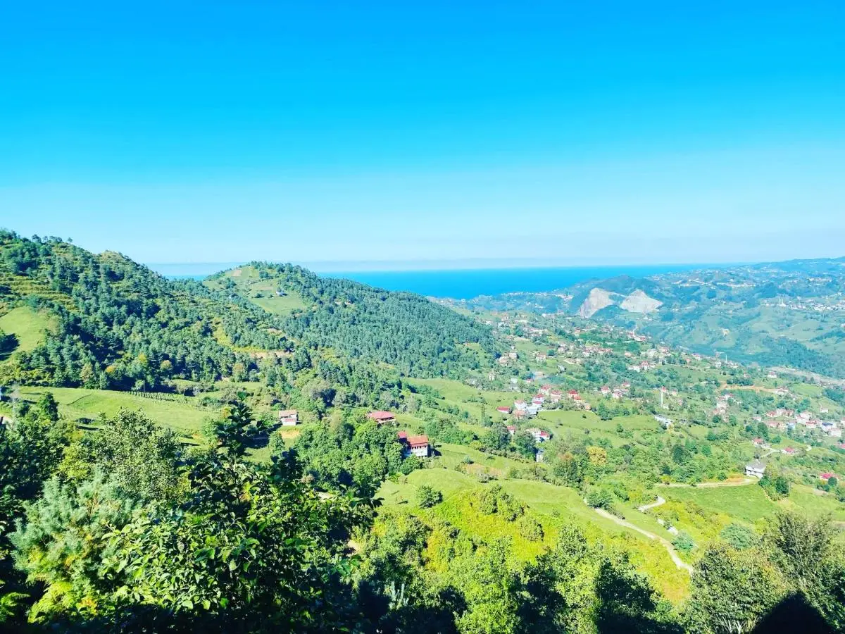 Of Kartepe Bungalov - Taş Ev & İkiz Villalar
