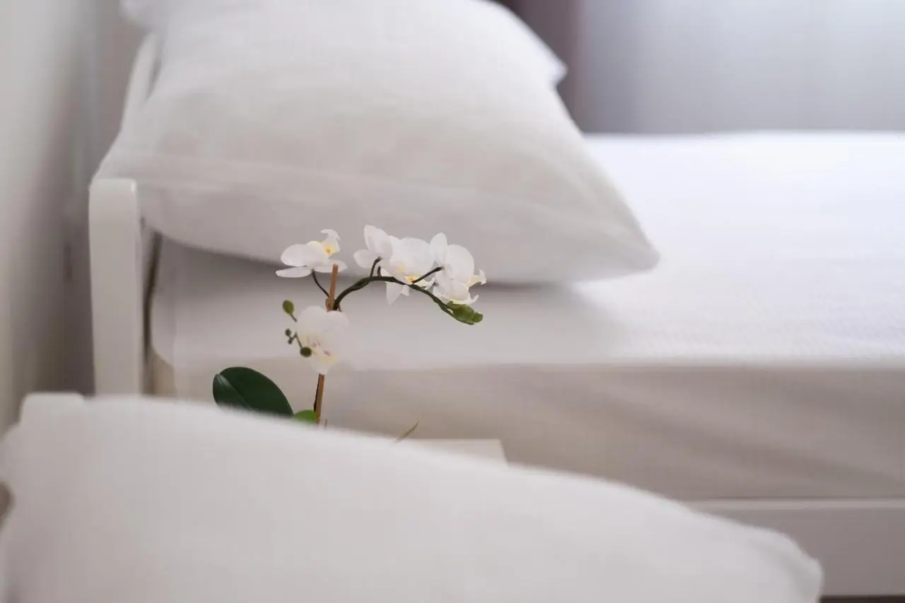 Apartmani Vila Kosa