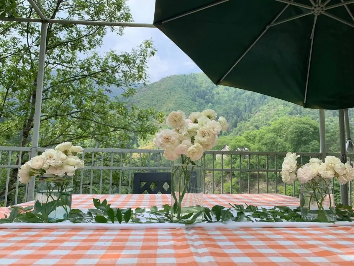 Hotel Villa Borjomi
