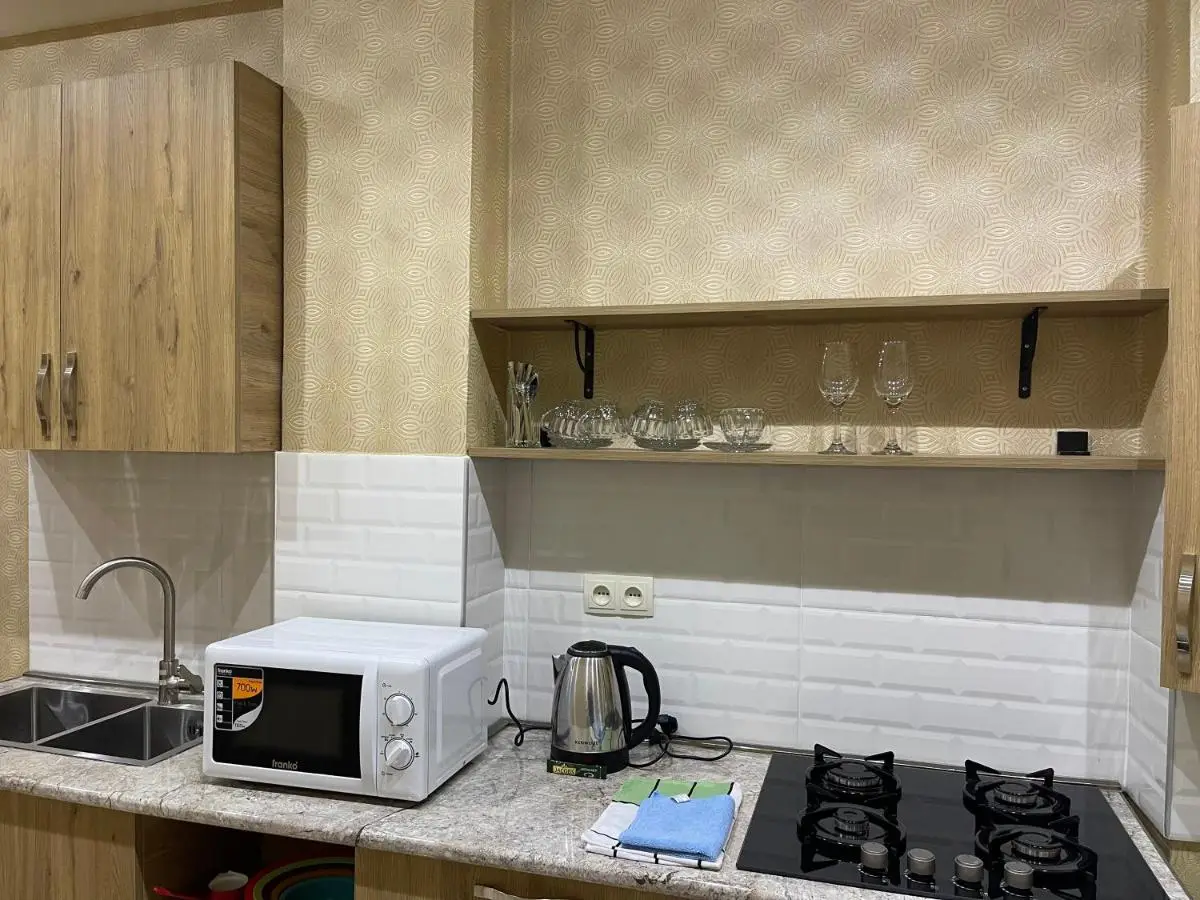Tea’s Condo in the Heart of Tbilisi (3)