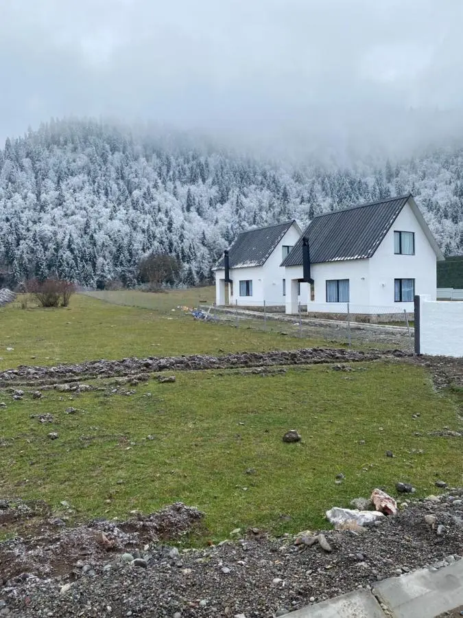 White House near Borjomi Sadgeri