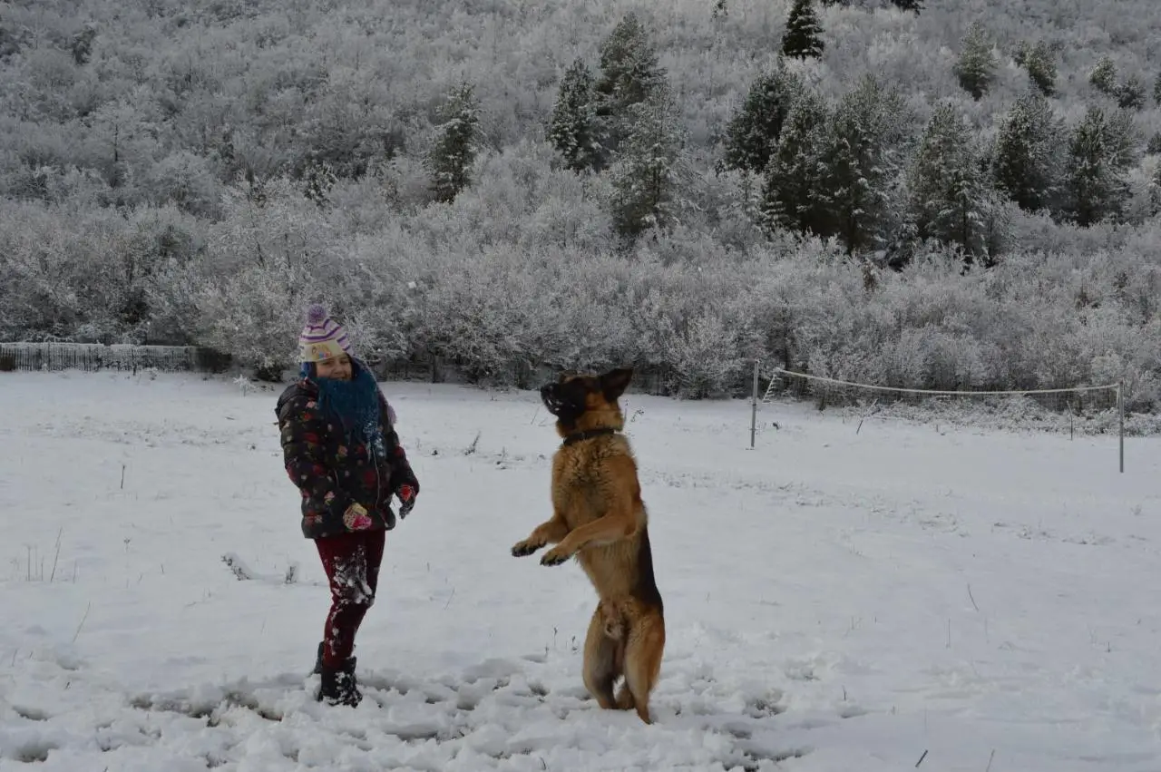 Horse Riding Albania