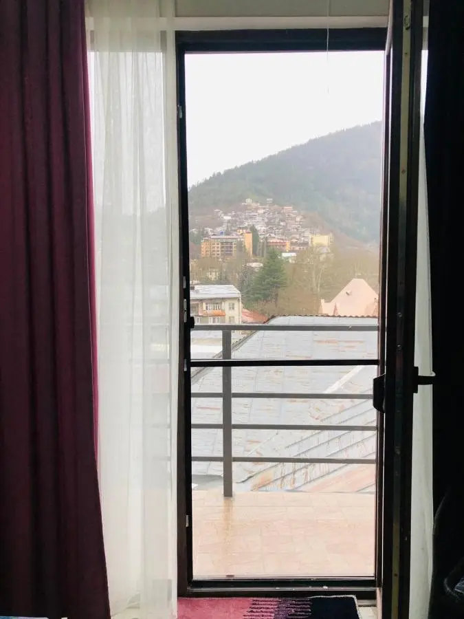 Borjomi inn