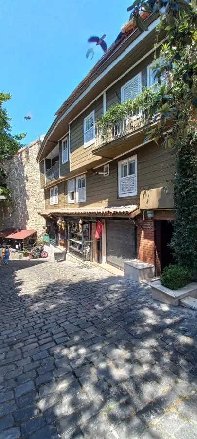 Coskun House